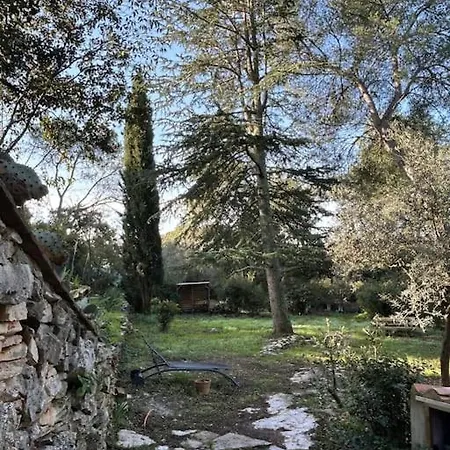 Lou Mazet - Nimes